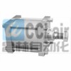 QGD-L-TB-180N-100，QGD-L-TB-200N-100，QGD-L-TB-250N-100，大型氣缸