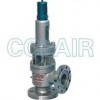 A40Y-64C，A40Y-64I，A40Y-100C，A40Y-100I，帶封閉散熱器彈簧全啟式安全閥