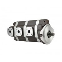 G5-25-20-12-08-1E13S-20L，G5-12-8-6-AH15S-20-L，G5-8-8-10-1E13S-20R,G5-25-10-10-1E13S-20R，多聯(lián)高壓齒輪泵